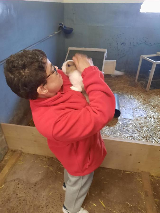 Willa Hoevetoerisme Op 'T Zand NeerNeerpelt Zewnętrze zdjęcie